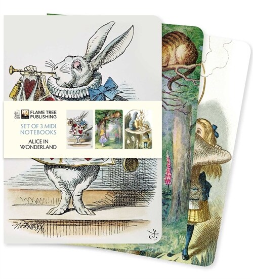 Alice in Wonderland Set of 3 Midi Notebooks (Notebook / Blank book)