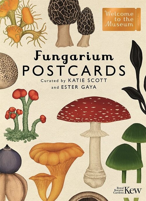 Fungarium Postcards (Cards)