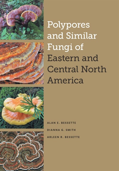 Polypores and Similar Fungi of Eastern and Central North America (Hardcover)