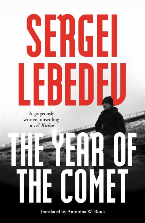 The Year of the Comet (Paperback)
