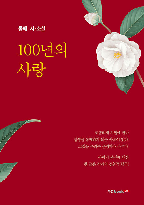 100년의 사랑