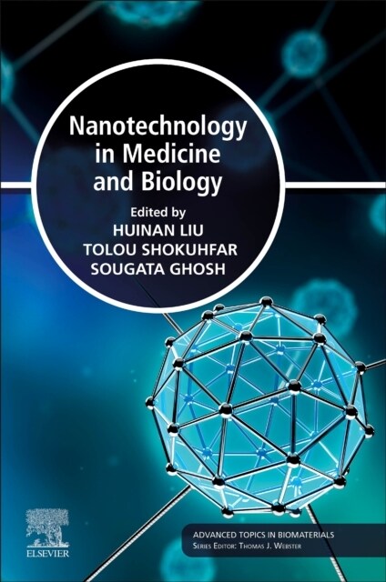 Nanotechnology in Medicine and Biology (Paperback)