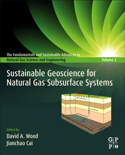 Sustainable Geoscience for Natural Gas Subsurface Systems (Paperback)