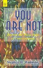 ou Are Not: Beyond the Three Veils of Consciousness (Paperback)