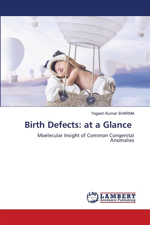 Birth Defects: at a Glance (Paperback)