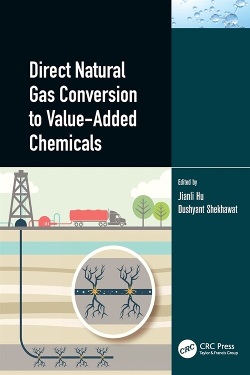 Direct Natural Gas Conversion to Value-Added Chemicals (Paperback, 1)