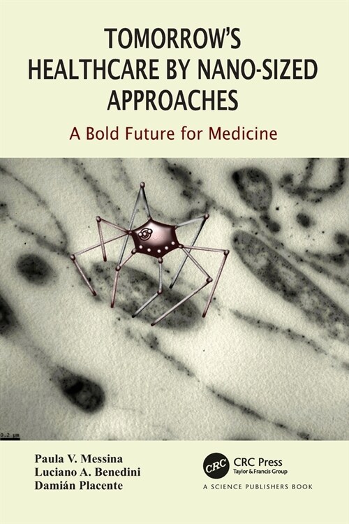 Tomorrows Healthcare by Nano-sized Approaches : A Bold Future for Medicine (Paperback)