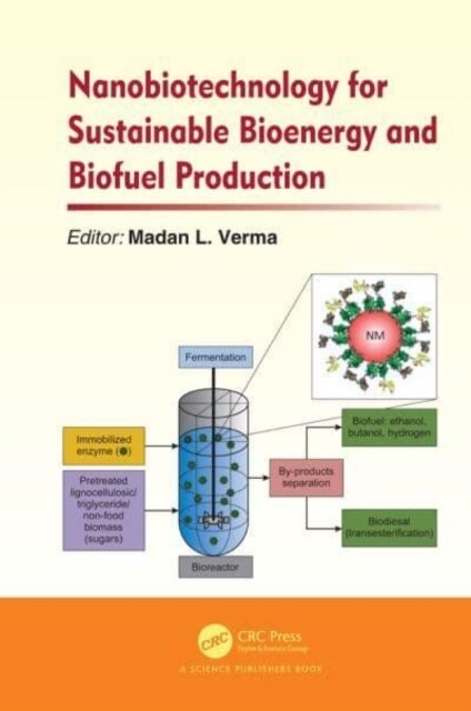 Nanobiotechnology for Sustainable Bioenergy and Biofuel Production (Paperback, 1)