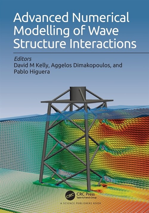 Advanced Numerical Modelling of Wave Structure Interaction (Paperback)