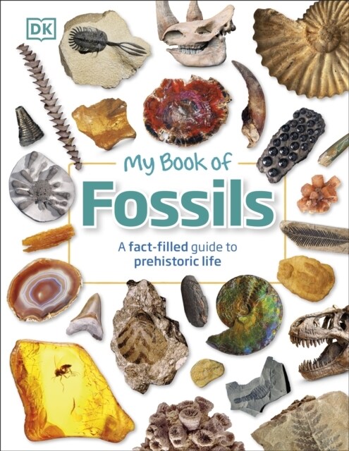 My Book of Fossils : A fact-filled guide to prehistoric life (Hardcover)