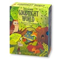 Peep Inside Goodnight World Little Explorers 3 Books Collection Box (Board Book 3권)