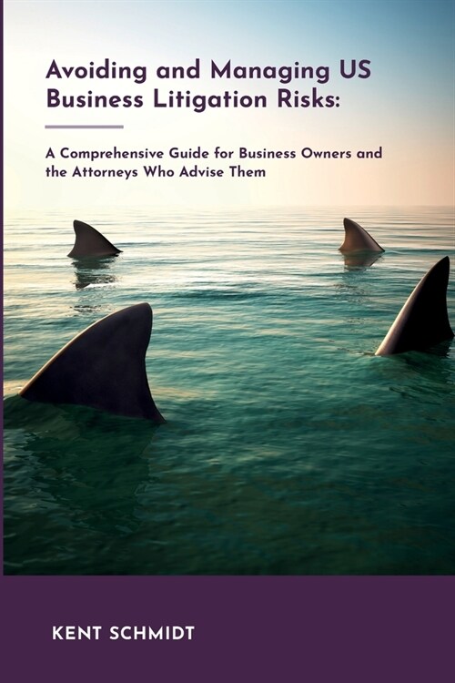 Avoiding and Managing Us Business Litigation Risks : A Comprehensive Guide for Business Owners and the Attorneys Who Advise Them (Paperback)