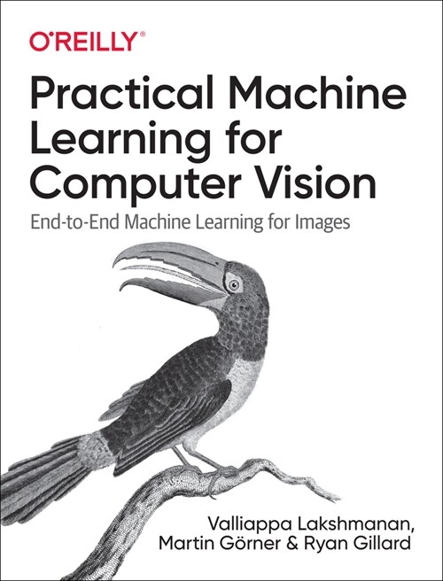 Practical Machine Learning for Computer Vision: End-To-End Machine Learning for Images (Paperback)