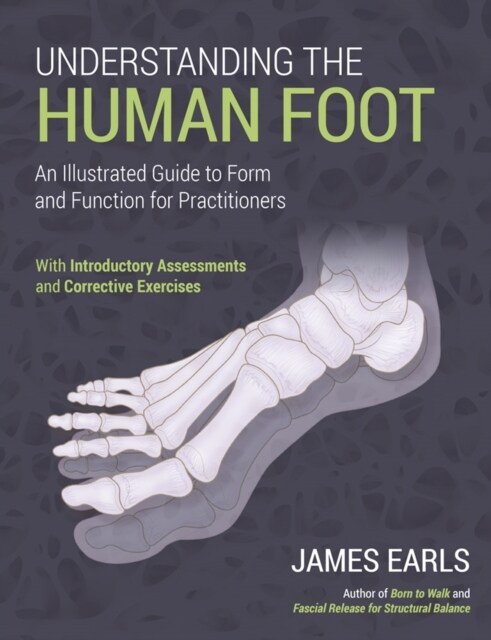 Understanding the Human Foot : An Illustrated Guide to Form and Function for Practitioners (Paperback)