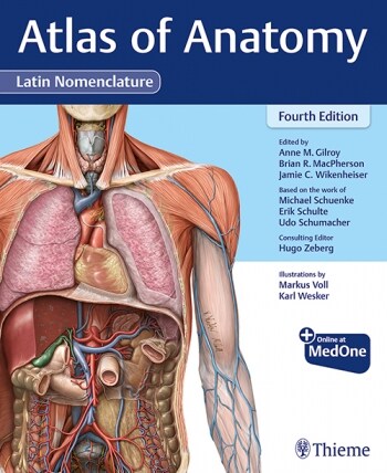 Atlas of Anatomy, Latin Nomenclature (Hardcover, 4)