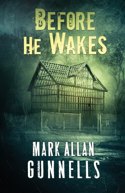 Before He Wakes (Paperback)