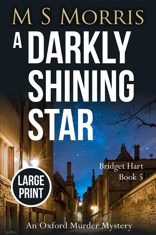 A Darkly Shining Star (Large Print): An Oxford Murder Mystery (Paperback, 2)