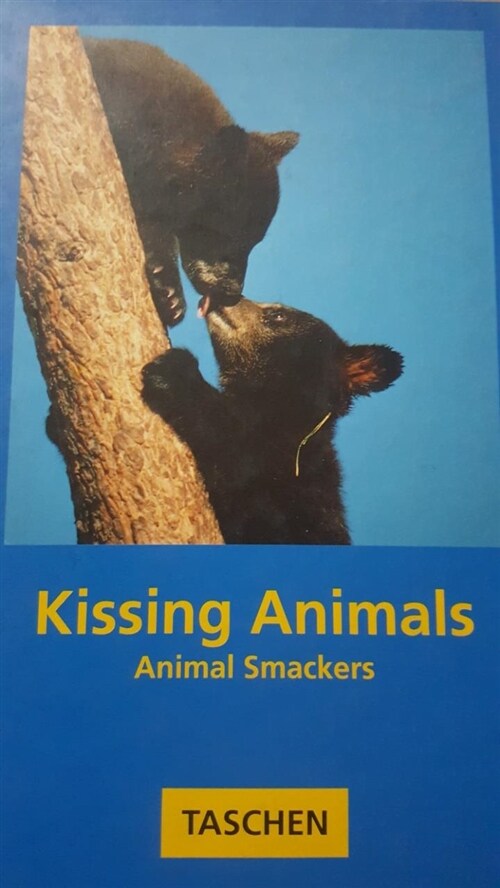 [중고] Kissing Animals (Hardcover)