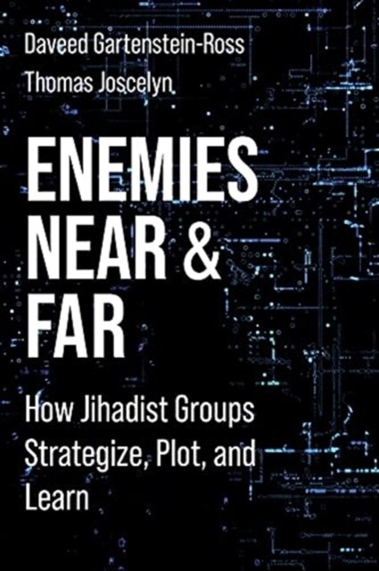 Enemies Near and Far: How Jihadist Groups Strategize, Plot, and Learn (Paperback)