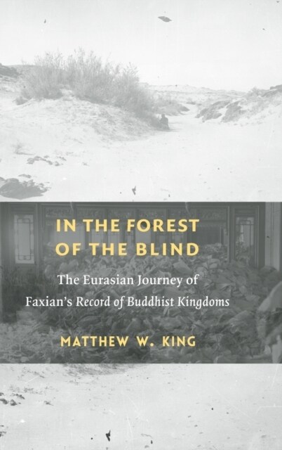 In the Forest of the Blind: The Eurasian Journey of Faxians Record of Buddhist Kingdoms (Hardcover)