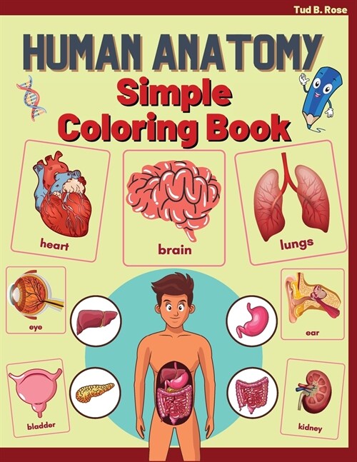 Human Anatomy Simple Coloring Book: Amazing Human Anatomy Coloring Book for Adults, Teens, Kids, and Students/Learning Easier and Better through Color (Paperback)