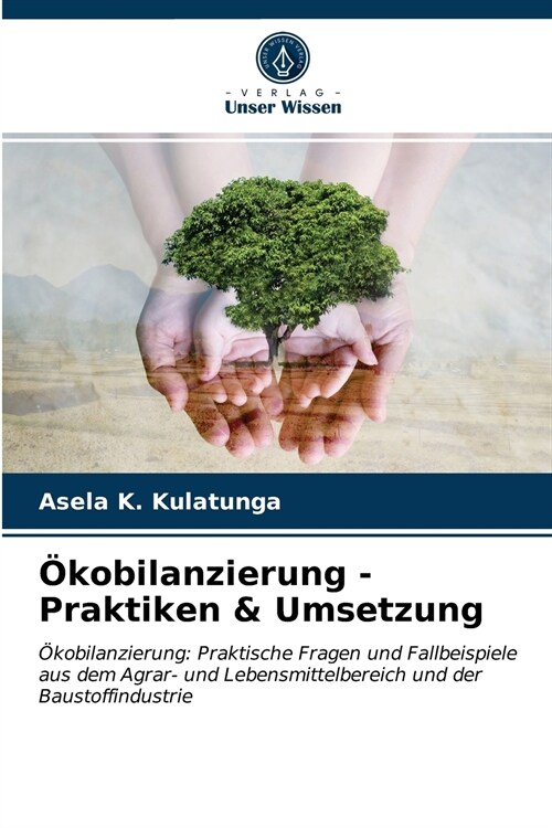 ?obilanzierung - Praktiken & Umsetzung (Paperback)