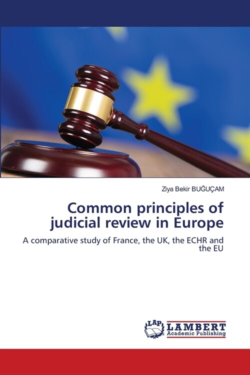 Common principles of judicial review in Europe (Paperback)