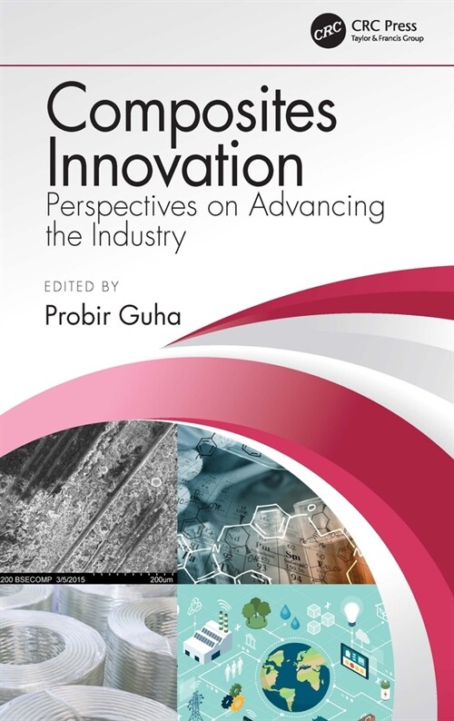 Composites Innovation : Perspectives on Advancing the Industry (Hardcover)