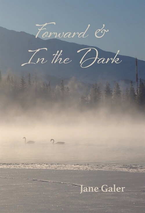 Forward & In the Dark (Hardcover)