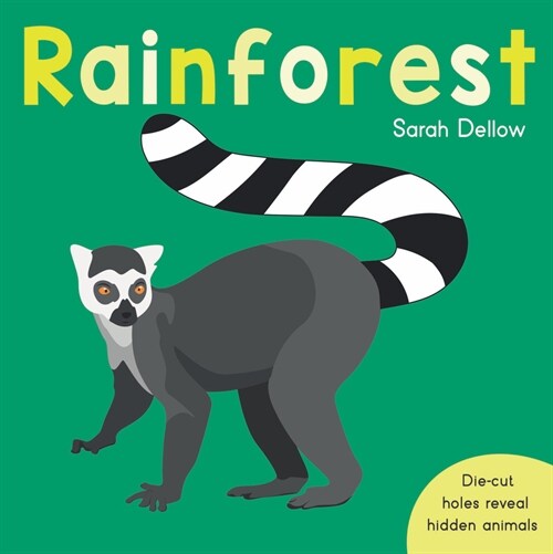 Now you See It! Rainforest (Board Book)