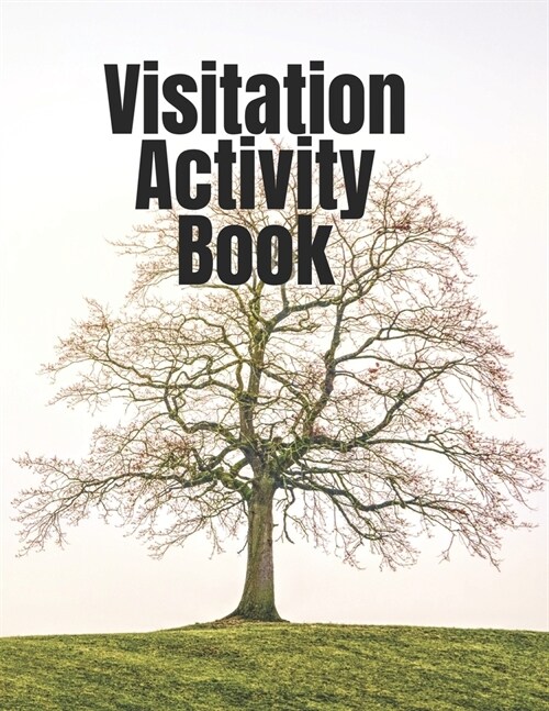 Visitation Activity Book (Paperback)