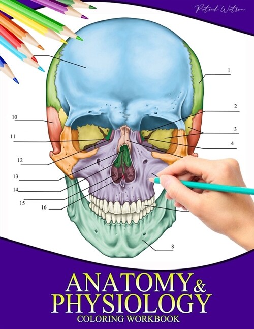 Anatomy And Physiology Coloring Workbook: Incredibly Detailed Self-Test Color workbook for Studying Perfect Gift for Doctors, Medical School Students, (Paperback)