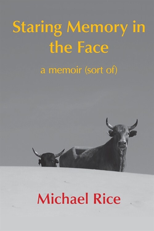 Staring Memory in the Face: a memoir (of sort) (Paperback)