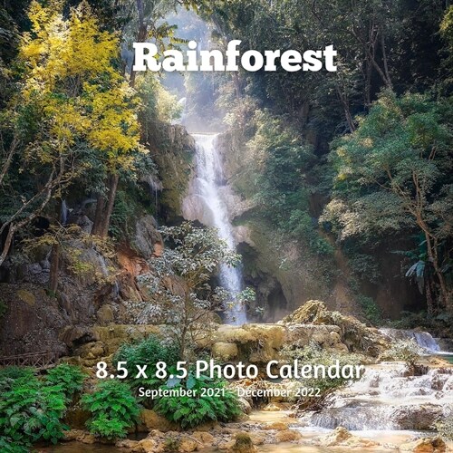 Rainforest 8.5 X 8.5 Calendar September 2021 -December 2022: Monthly Calendar with U.S./UK/ Canadian/Christian/Jewish/Muslim Holidays- Natural Wonders (Paperback)