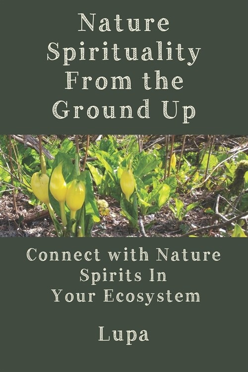 Nature Spirituality From the Ground Up: Connect With Nature Spirits In Your Ecosystem (Paperback)