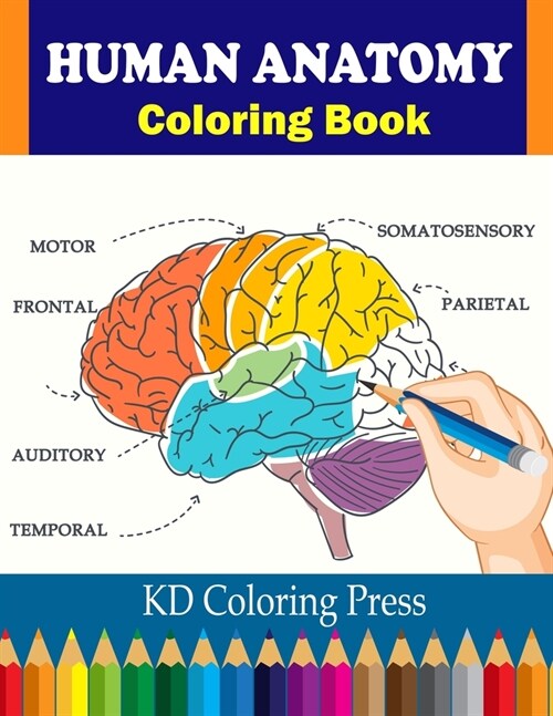 Human Anatomy Coloring Book: Human Body Anatomy Coloring Book For Kids (Paperback)