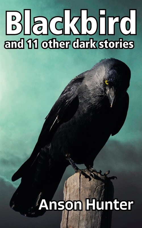 Blackbird: and 11 other dark stories (Paperback)