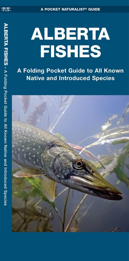 Alberta Fishes: A Folding Pocket Guide to All Known Native and Introduced Species (Paperback)