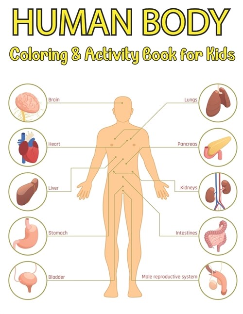 Human Body Coloring And Activity Book For Kids: The Ultimate Physiology Guide Coloring And Activity Book (Paperback)