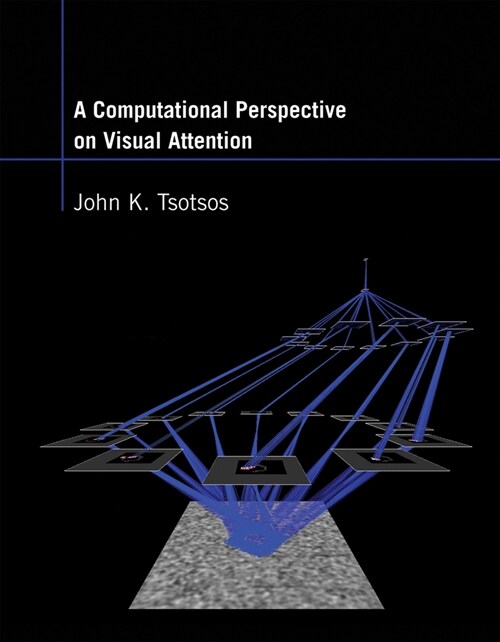 A Computational Perspective on Visual Attention (Paperback)