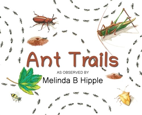 Ant Trails (Hardcover)