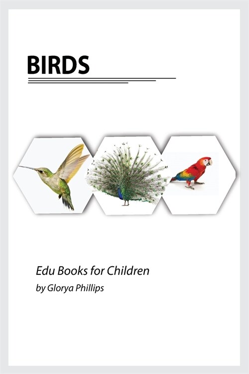 Birds: Montessori real birds book, bits of intelligence for baby and toddler, childrens book, learning resources. (Paperback)