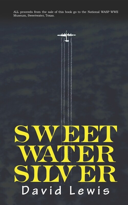 Sweetwater Silver (Paperback)