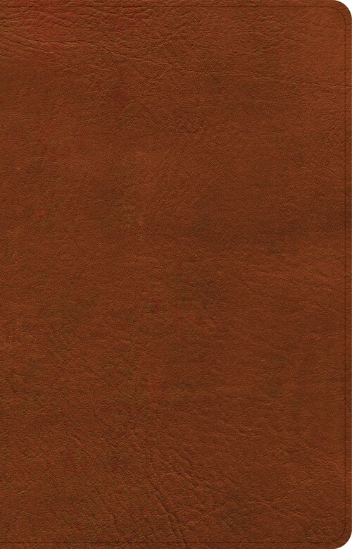 NASB Large Print Personal Size Reference Bible, Burnt Sienna Leathertouch, Indexed (Imitation Leather)