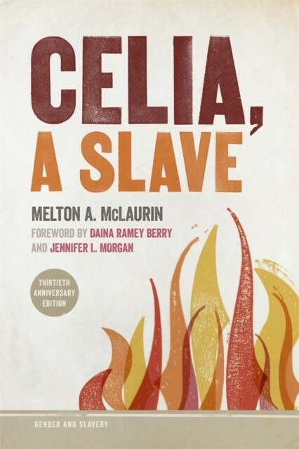 Celia, a Slave (Paperback)