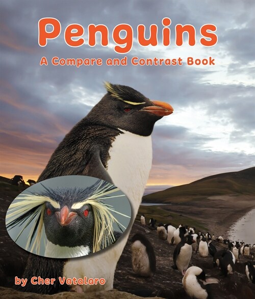 Penguins: A Compare and Contrast Book (Paperback)