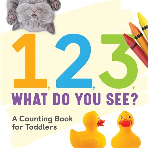 1, 2, 3, What Do You See?: A Counting Book for Toddlers (Paperback)