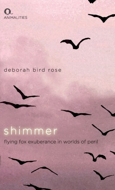 Shimmer : Flying Fox Exuberance in Worlds of Peril (Hardcover)