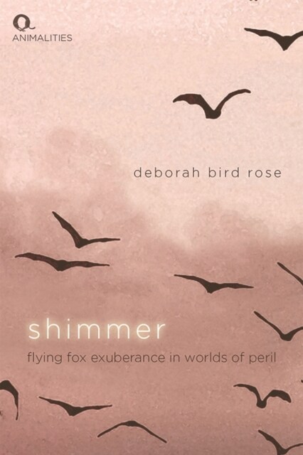 Shimmer : Flying Fox Exuberance in Worlds of Peril (Paperback)