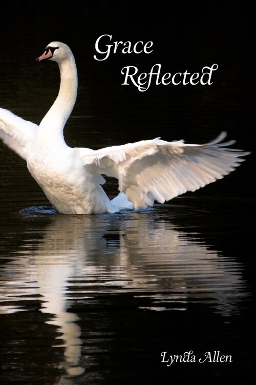 Grace Reflected (Paperback)